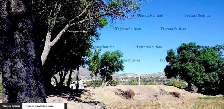 Tiran cadáver en barranca de San Pedro la Joya en Tepeaca