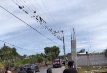 Ultiman con impactos de arma de fuego a sujeto en Candelaria Purificación, Tepeaca.