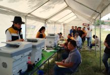 Inician Revista Vehicular 2025 para transporte publico en Tepeaca