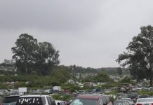 Para evitar corrupción y abusos en cobros, habrá corralón estatal en Tepeaca