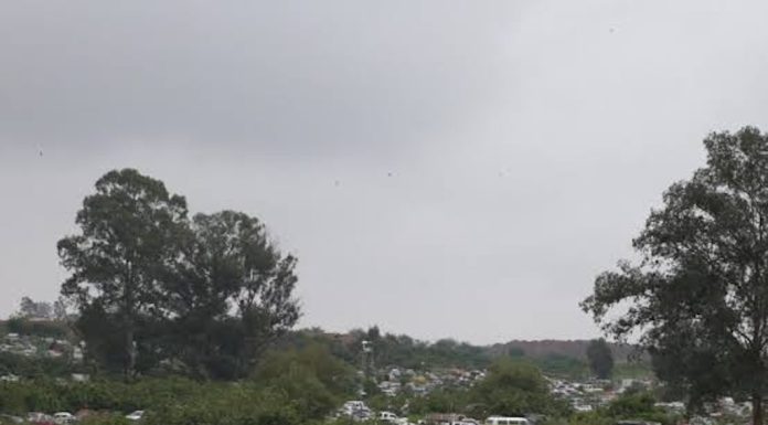 Para evitar corrupción y abusos en cobros, habrá corralón estatal en Tepeaca