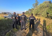 Identifica a tres de las víctimas entre limites de Puebla y Tlaxcala; eran los levantados en Carpinteros , Tepeaca