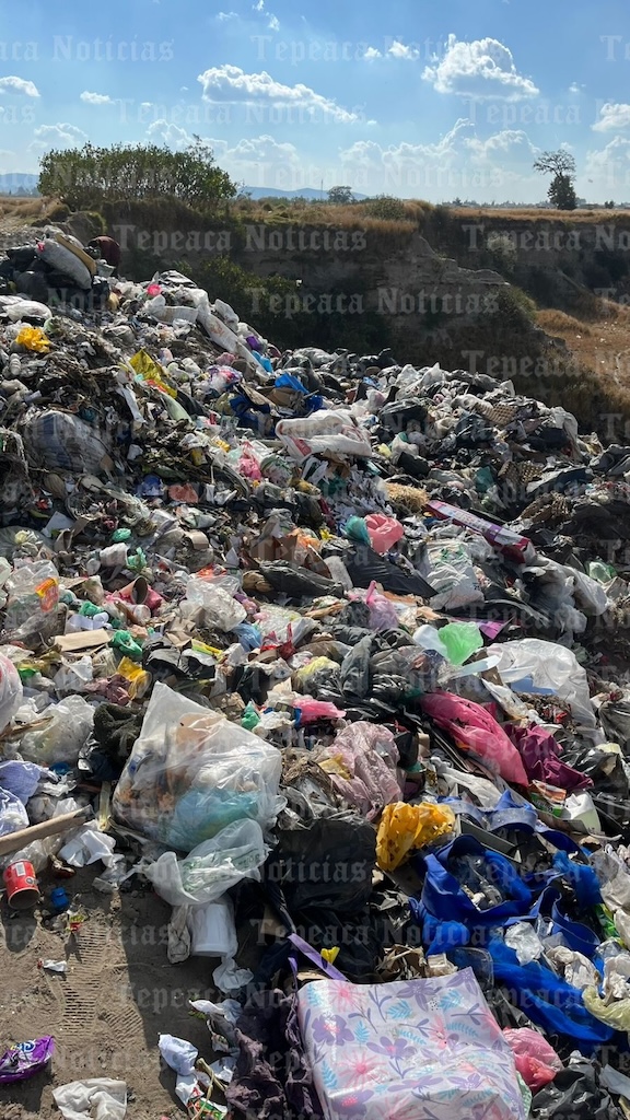 eZy Watermark_31-01-2026_07-42-54-2000p.m.