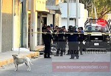 Fallece motociclista tras impactar contra poste en Acatzingo