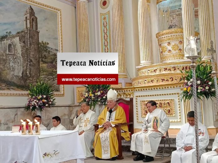 eZy Watermark_12-02-2026_06-45-13-0220p.m.