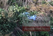 Fallece mujer al caer en canal de aguas negras a un costado de carretera Tecamachalco- Tochtepec
